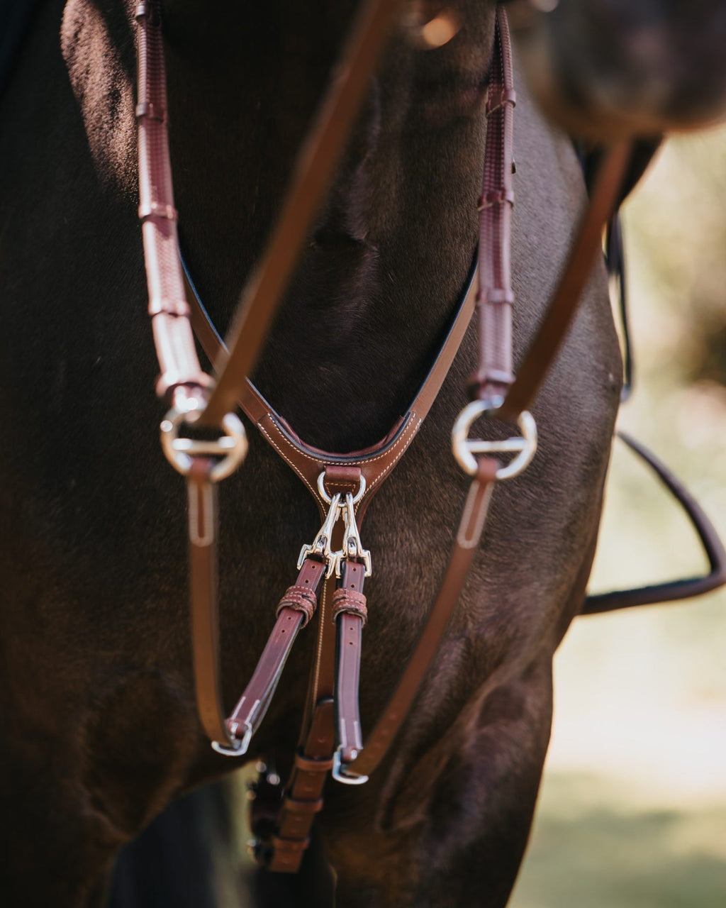 BHOOF MARTINGALE 1