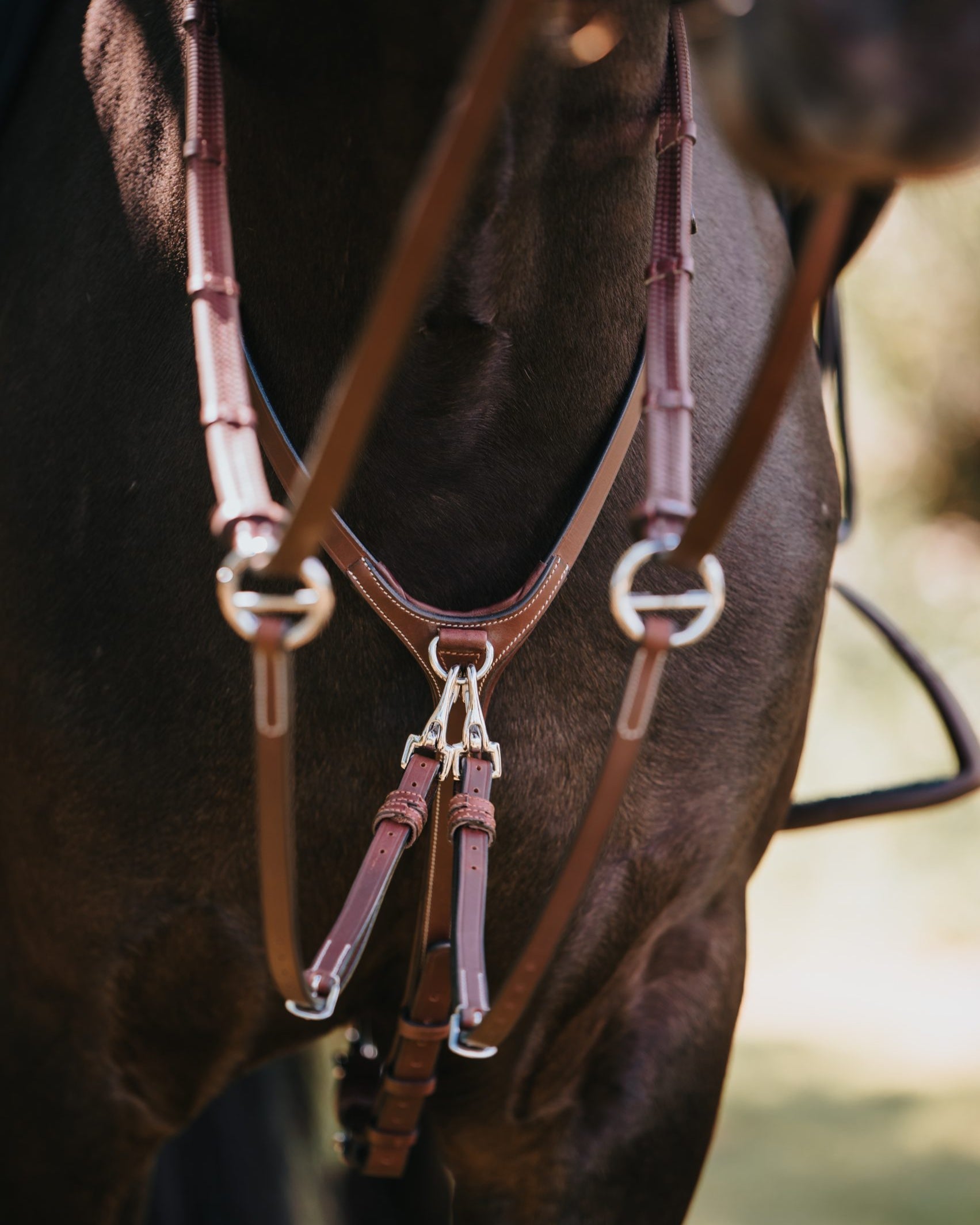 BHOOF MARTINGALE 1