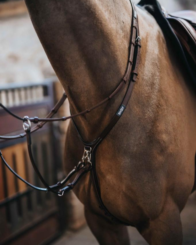 BHOOF MARTINGALE 1