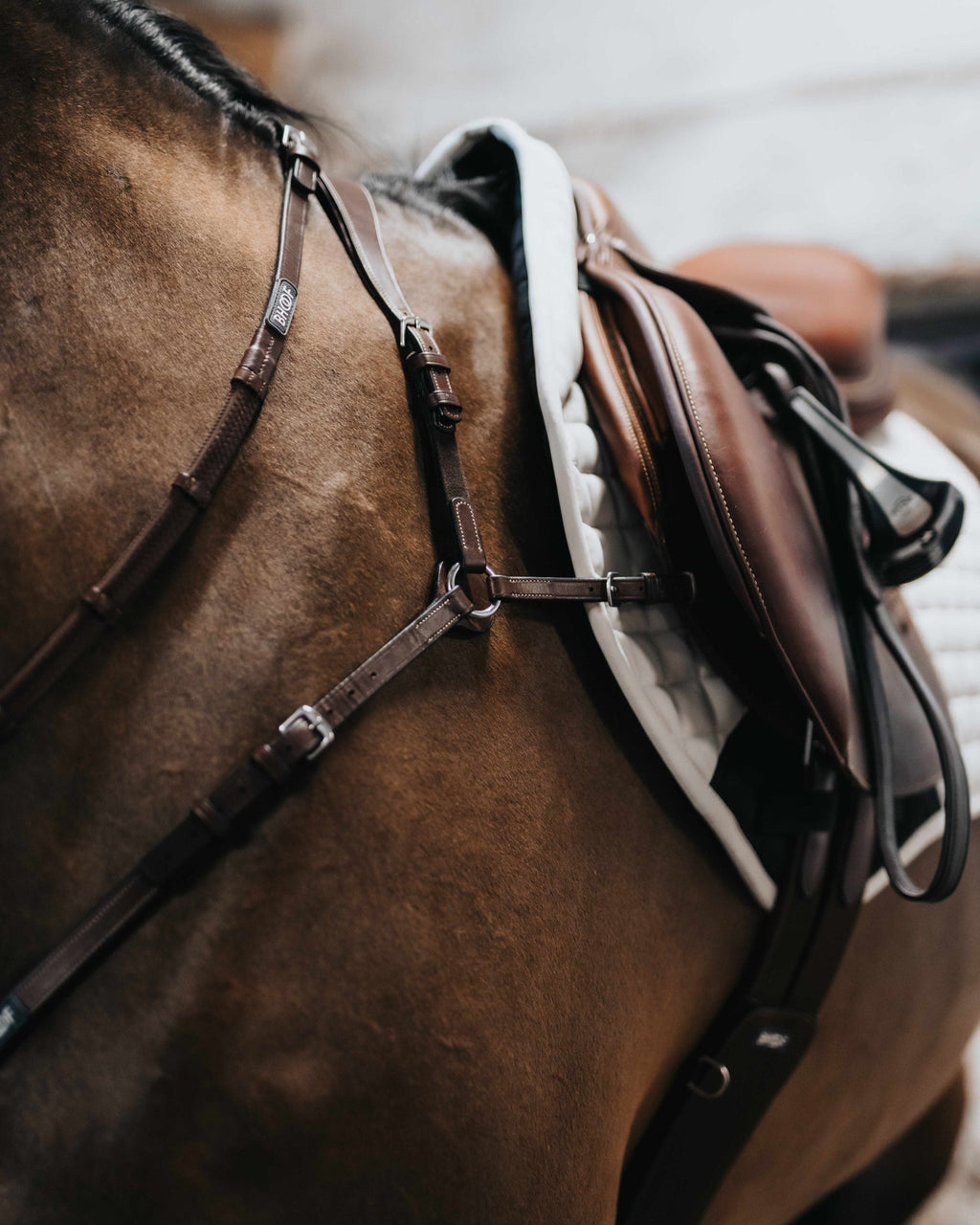 BHOOF BREASTPLATE 1 - MID POSITION