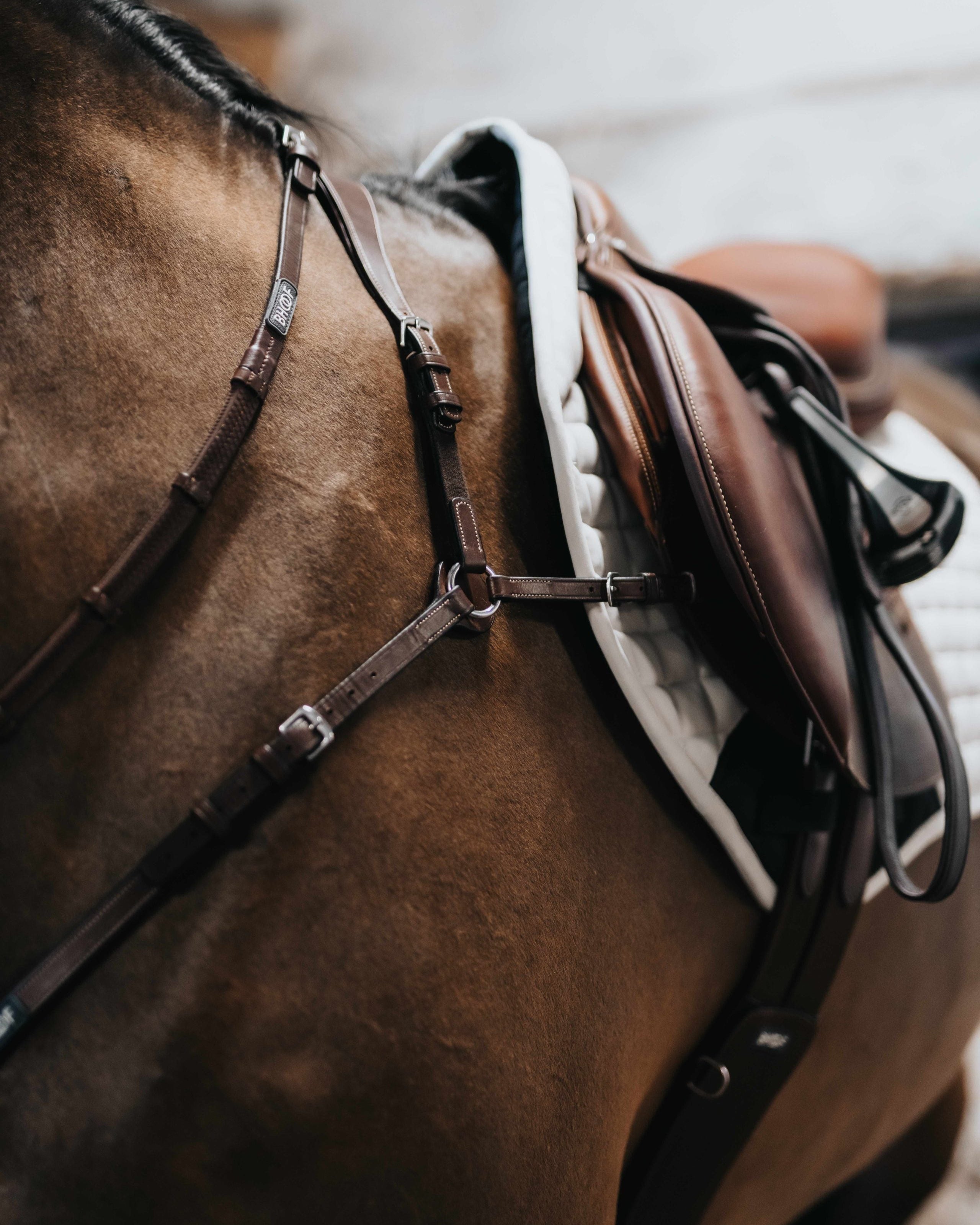 BHOOF BREASTPLATE 1 - MID POSITION