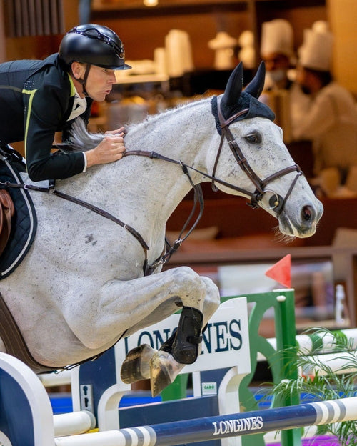 BHOOF BRIDLE 1 - FLASH