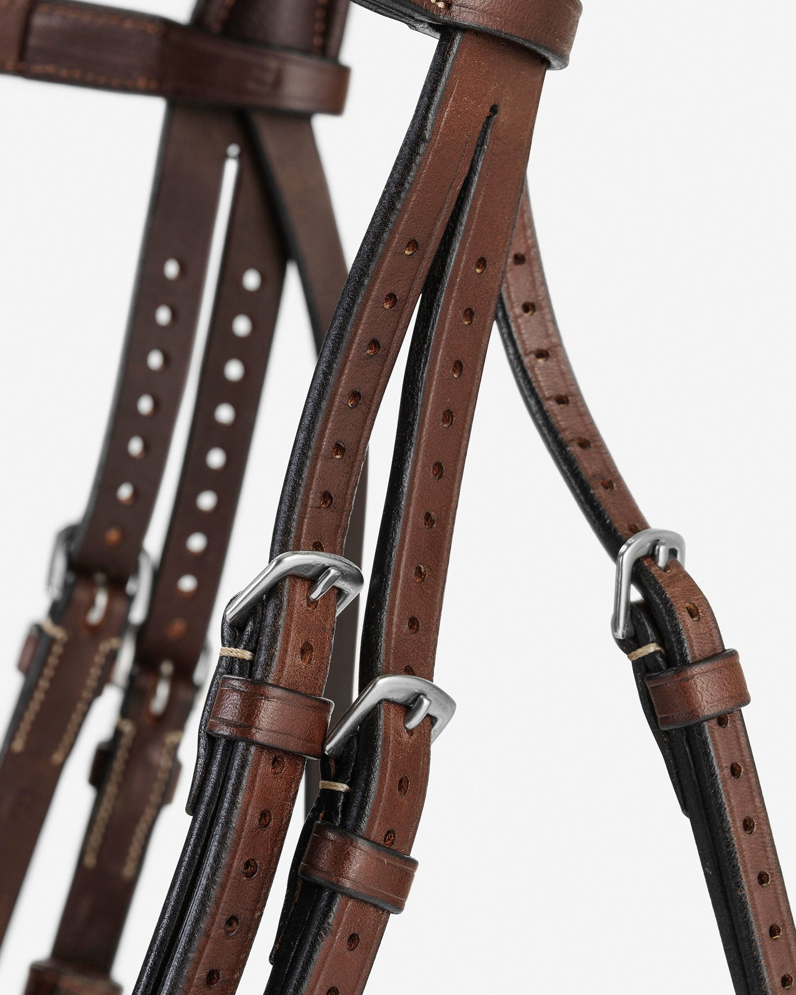 BHOOF BRIDLE 1 - FLASH