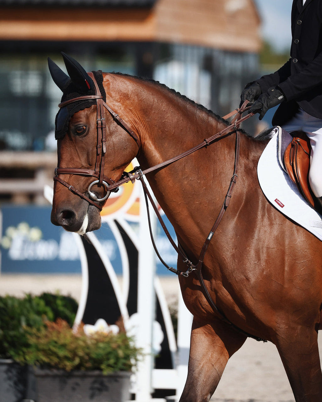 BHOOF BRIDLE 1 - FLASH
