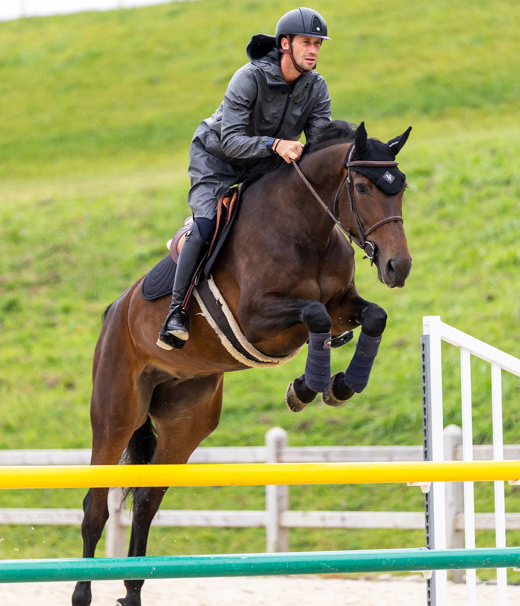 Orejeras Horse Pilot