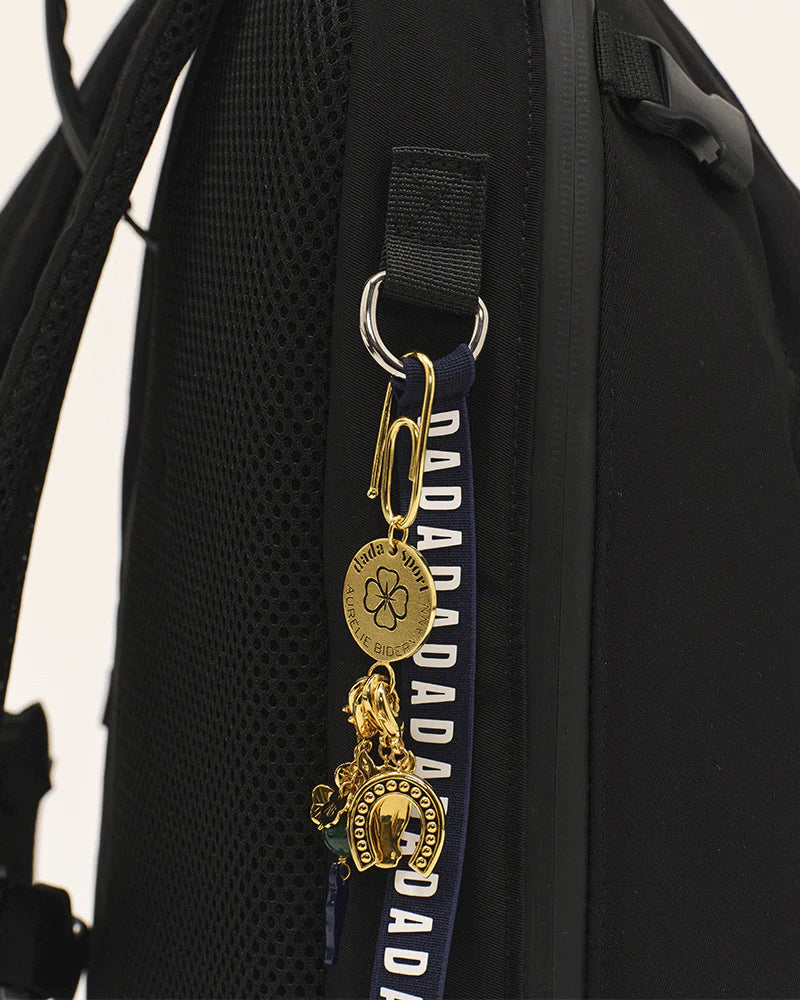Charm FER A CHEVAL