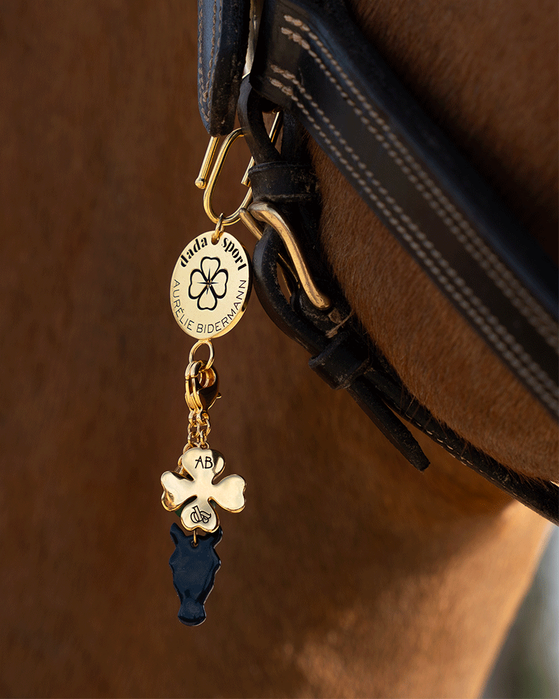 Charm cheval malachite en cabezada