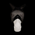 Fly mask classic with ears black cob