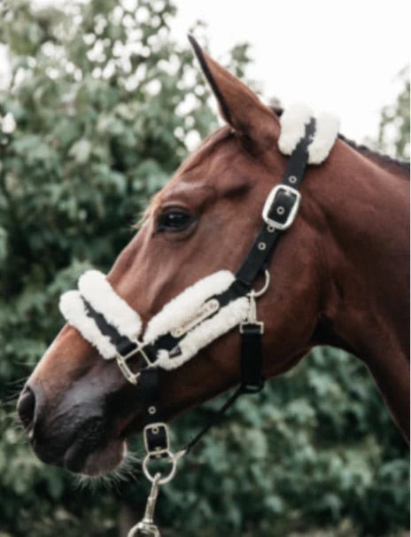 NYLON SHEEPSKIN HALTER