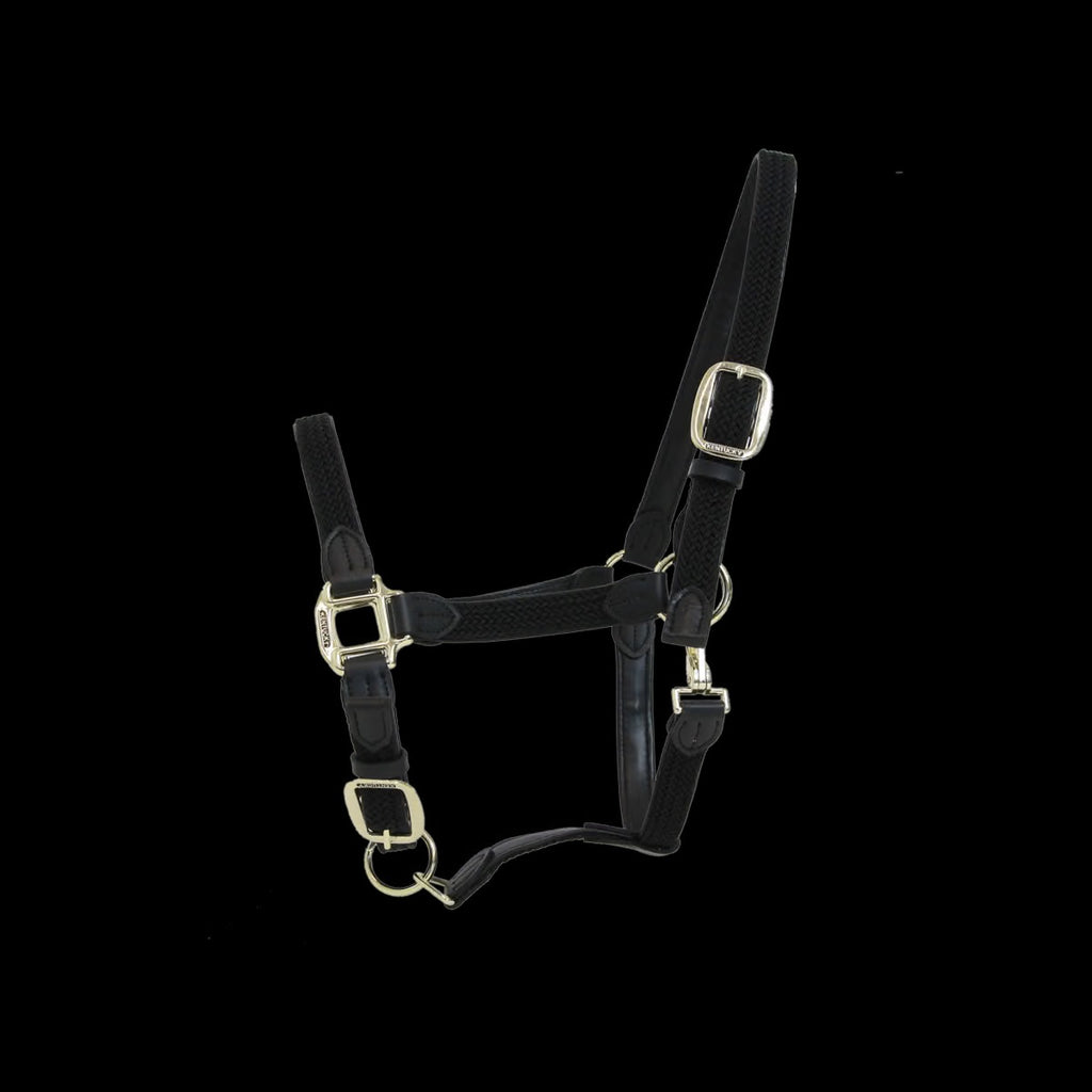 PLAITED NYLON HALTER