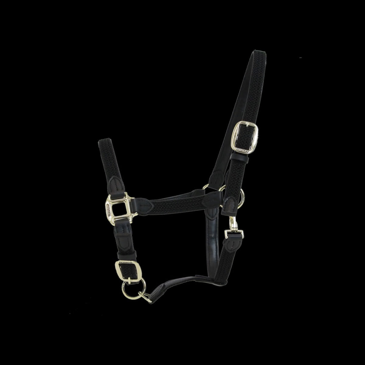 PLAITED NYLON HALTER