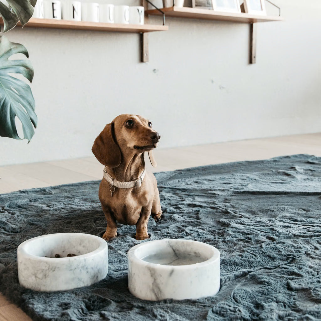 Wool Dog Collar