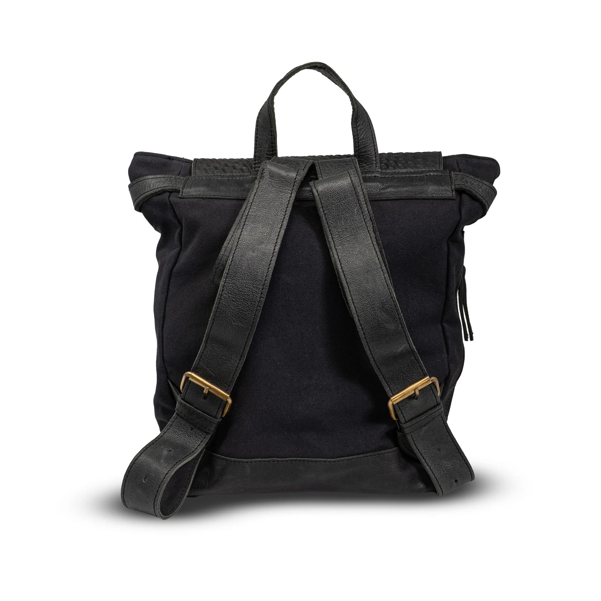 BARNBACKPACK - DRESSAGE